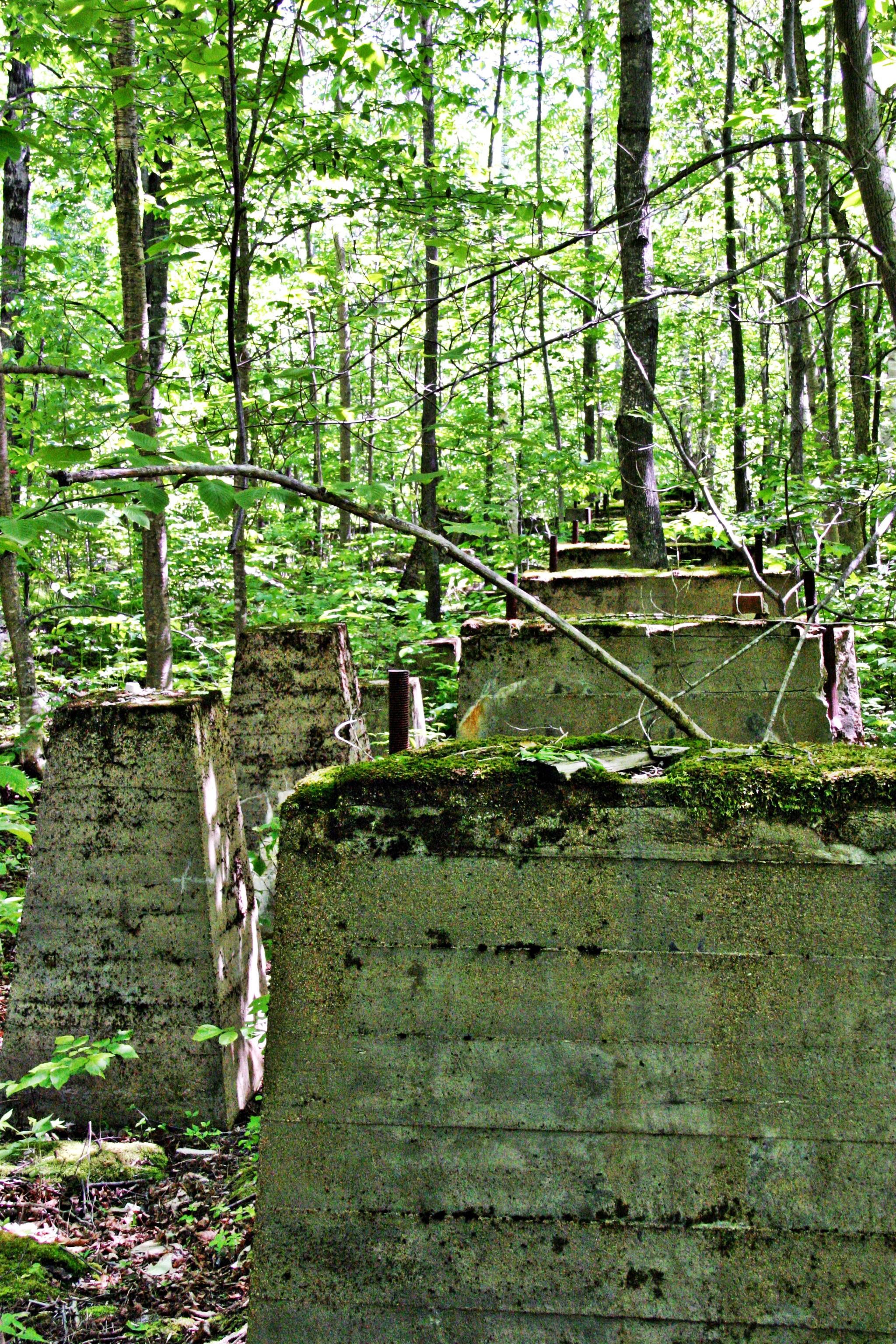 Mill